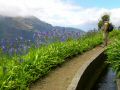 Madeira0890.JPG